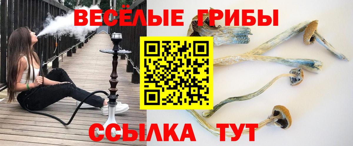 Псилоцибиновые грибы прущие грибы  Вход с VPN  Грязи 